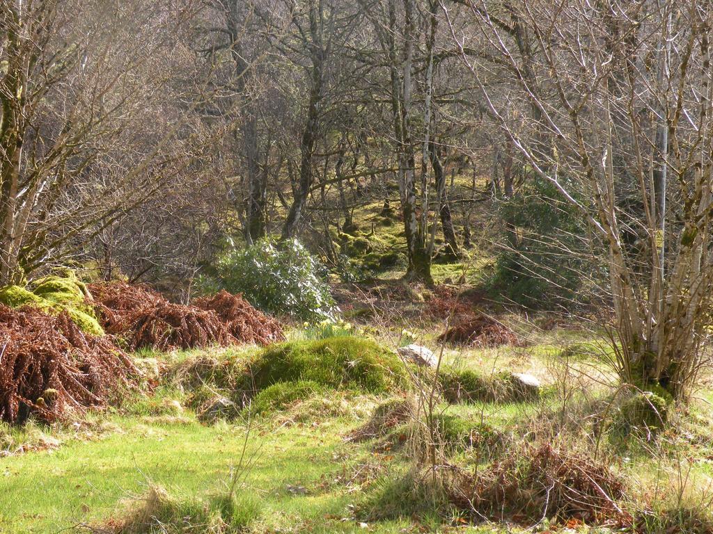 Mchugh And Loudon Cottages Saint Catherines Luaran gambar